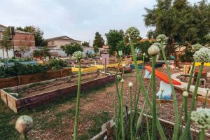 San Miguel Community Garden