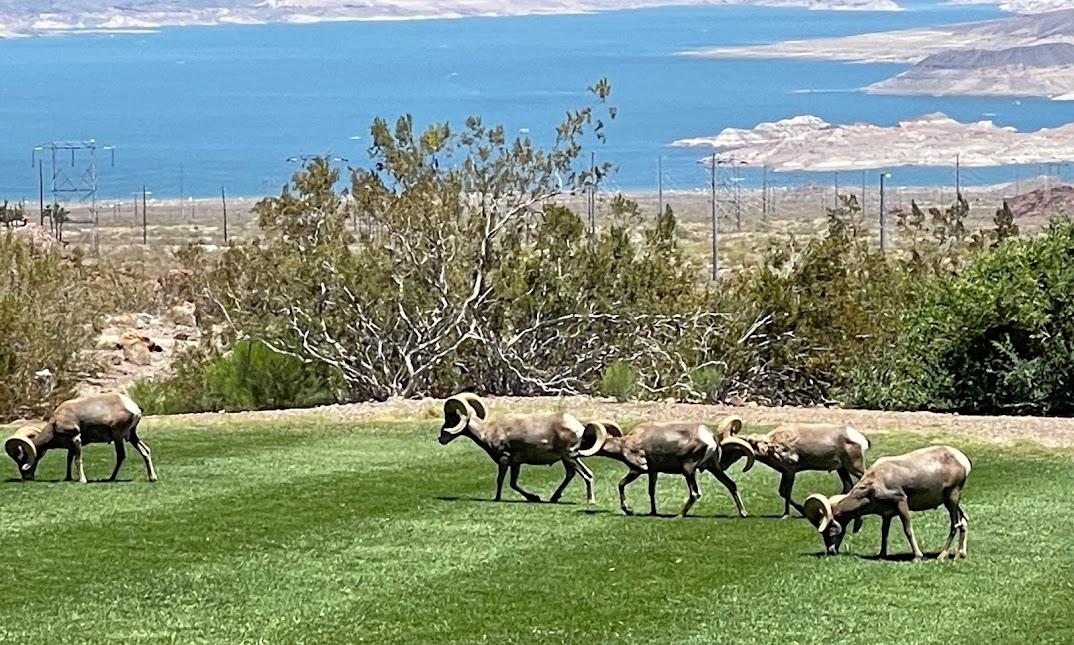 Hemenway Valley Park in Boulder City